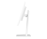 IIYAMA ProLite XUB2497HSU-W2 - 1284775 - zdjęcie 9